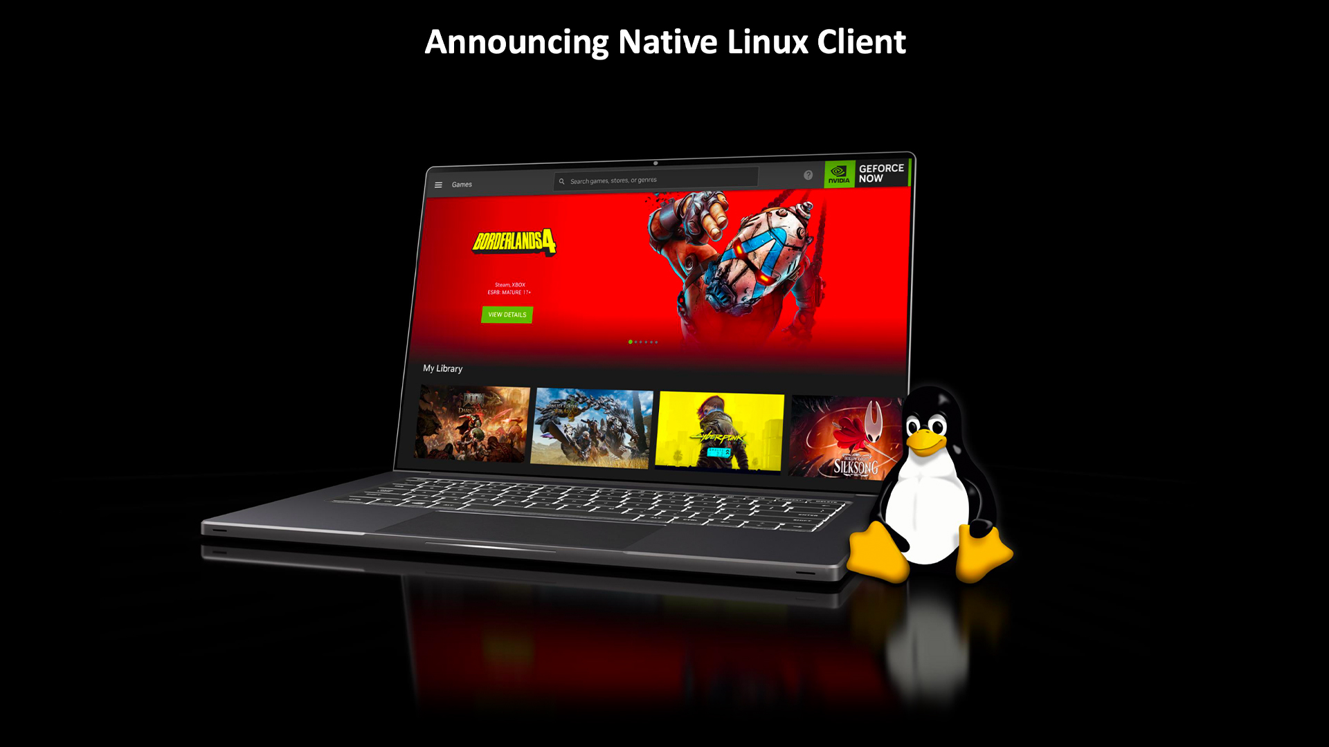 Nvidia GeForce עכשיו