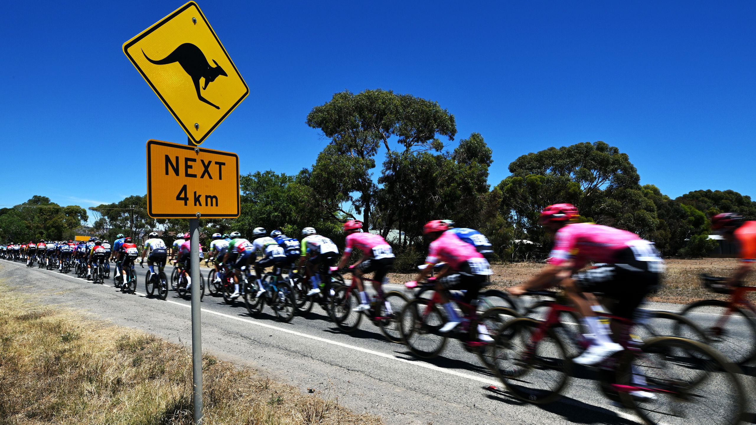 איך לצפות ב-Tour Down Under 2026: זרמי רכיבה בחינם באינטרנט מכל מקום