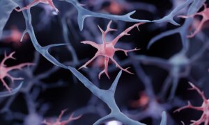 Study: Ageing promotes microglial accumulation of slow-degrading synaptic proteins. Image Credit: ART-ur / Shutterstock
