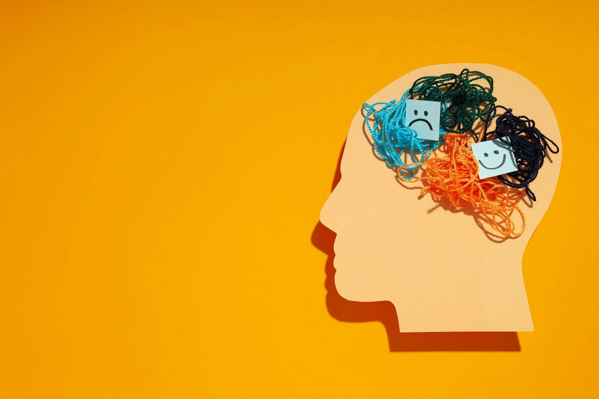 שיפור ההישרדות אצל אנשים עם הפרעות פסיכיאטריות קשות