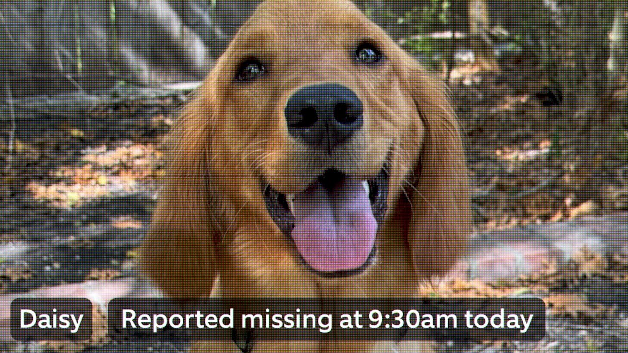 מסיבת חיפוש | דרך חדשה לשכן - יוטיוב