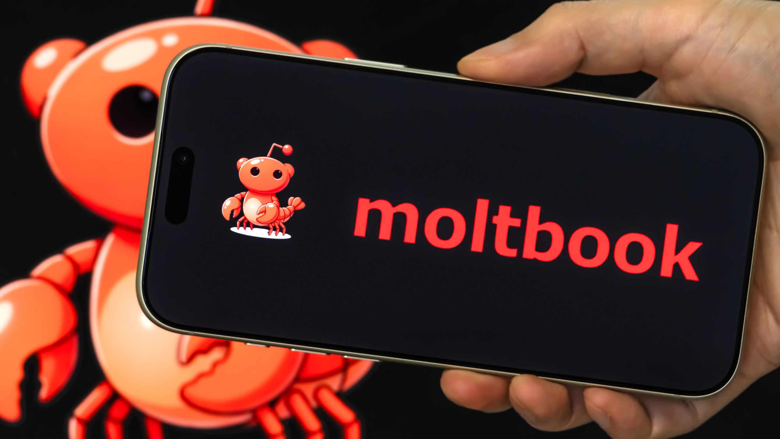 1.6 מיליון בוטים של AI נמצאים ב-Moltbook - הנה איך להצטרף כאדם