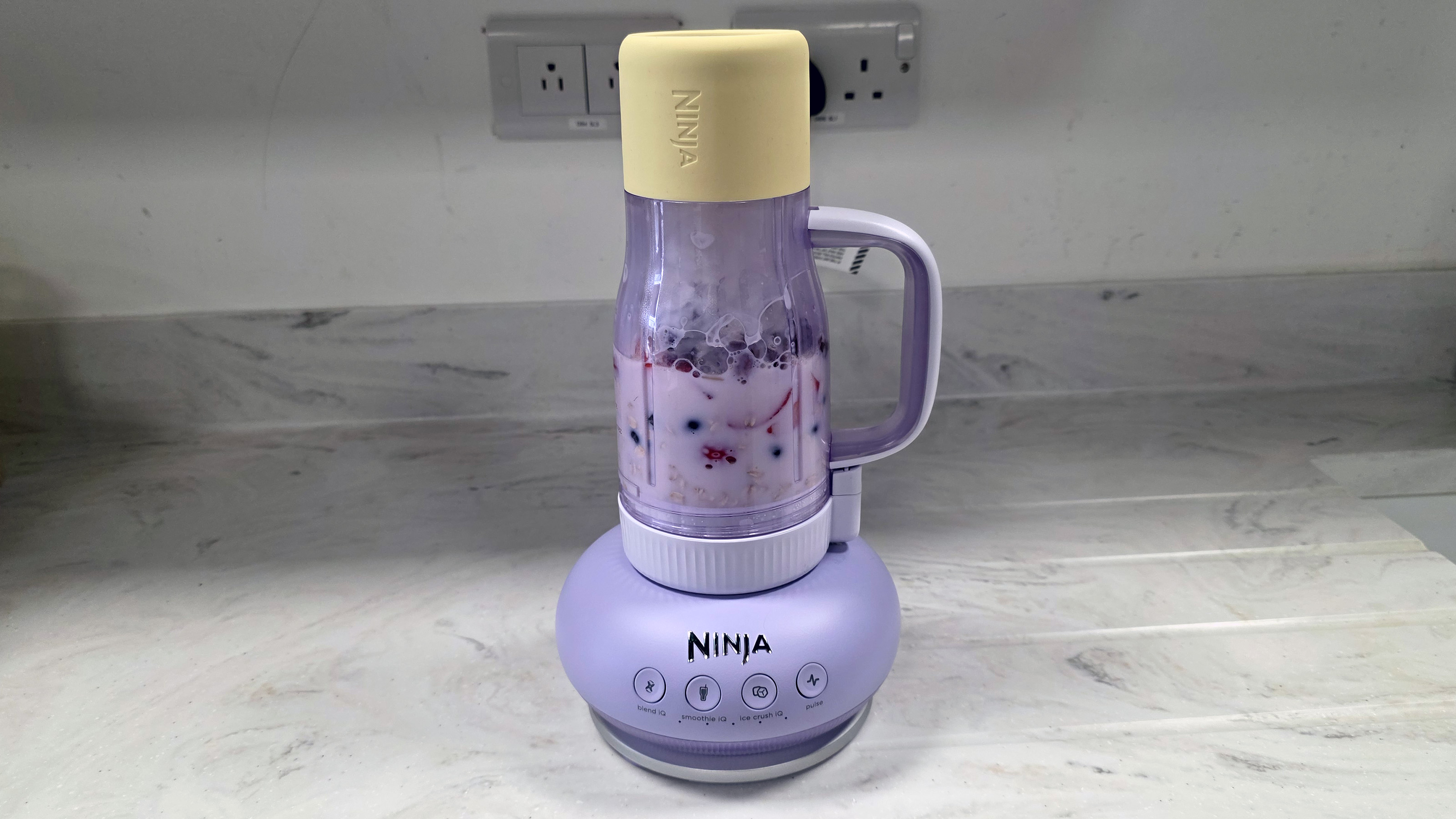 סקירת Ninja BlendBoss