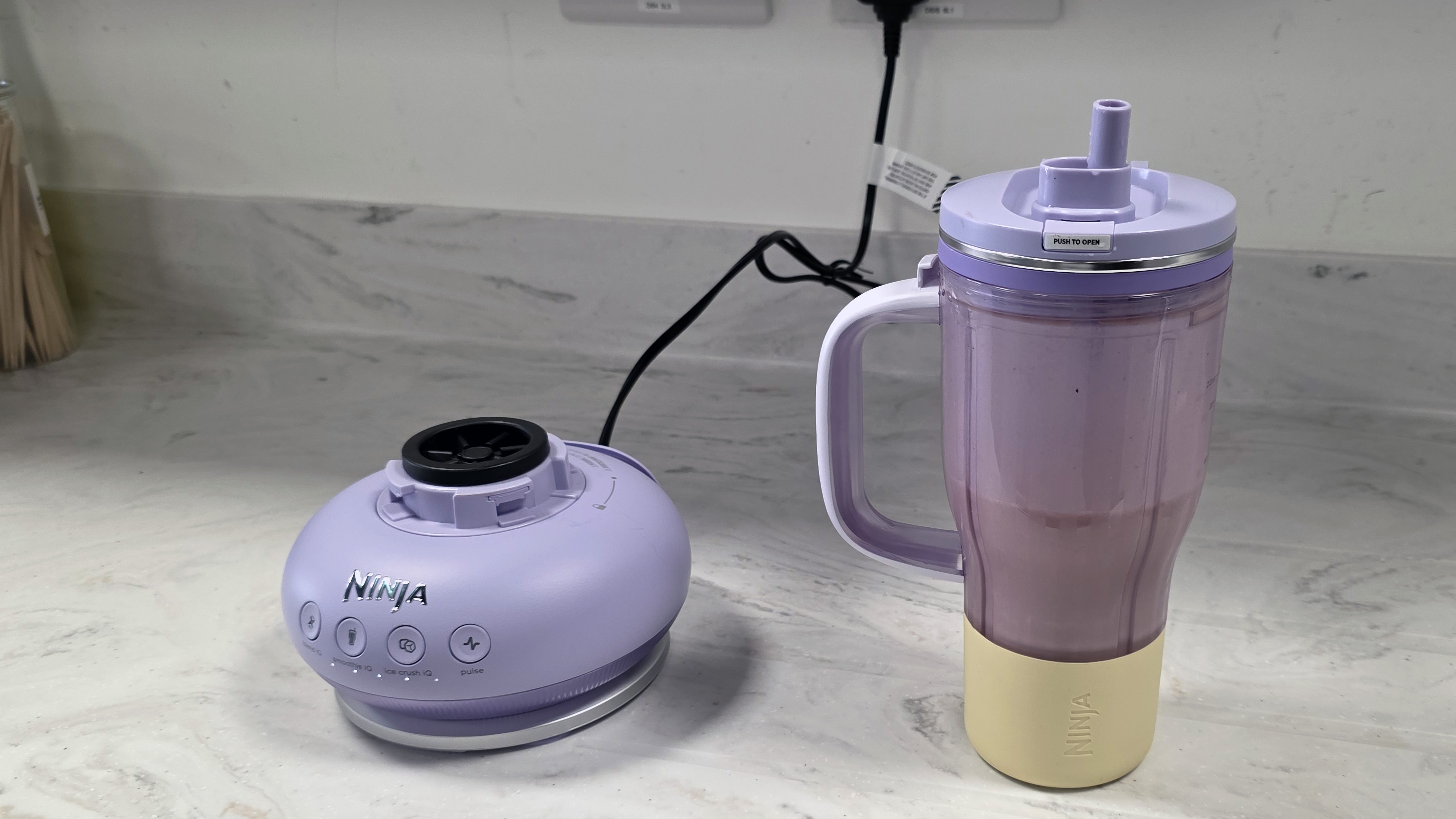 סקירת Ninja BlendBoss