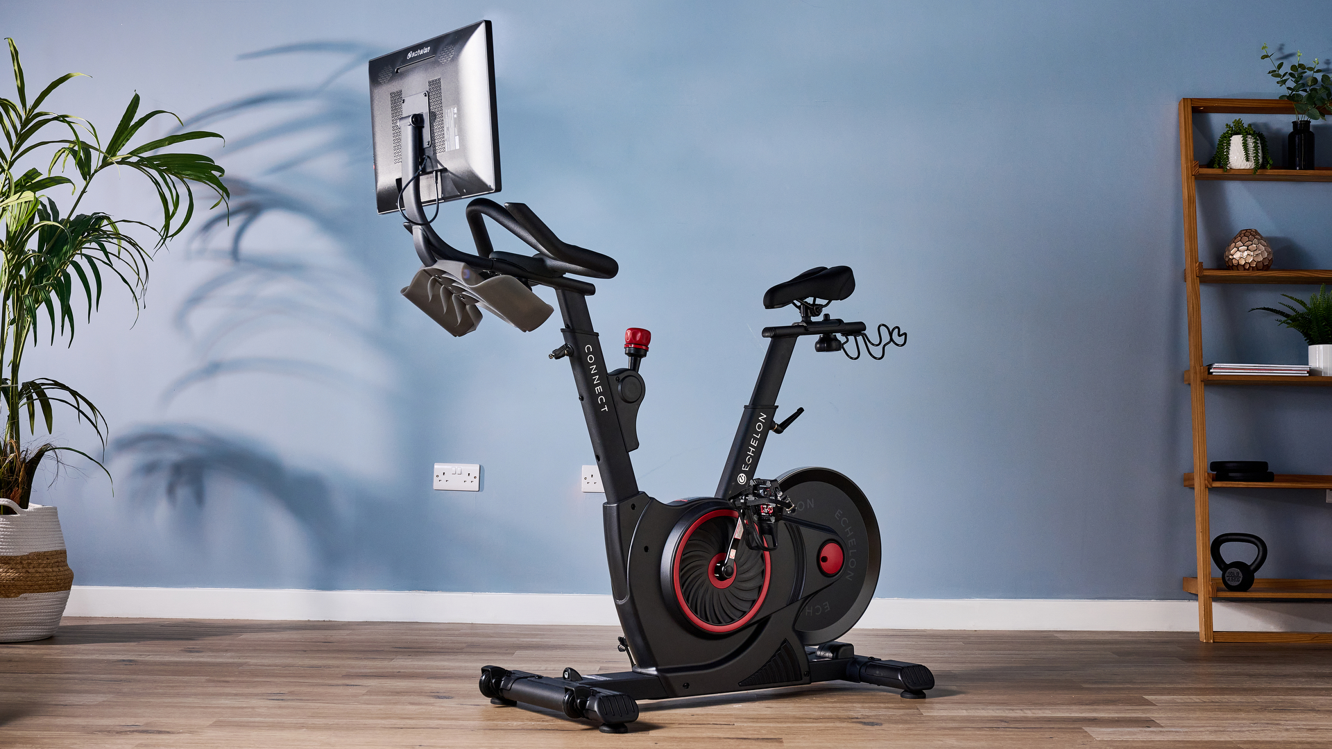 echleon ex-5s צולם מול רקע כחול