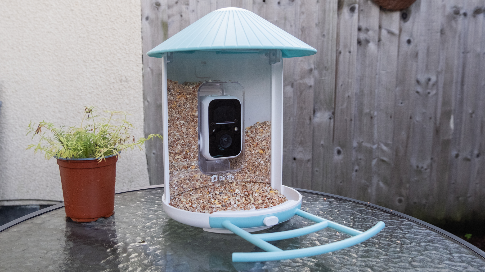 מזין ציפורים חכם של Netvue Birdfy Feeder AI