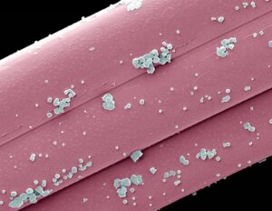 Mayo Clinic משתפת פעולה עם ניו פאזה בע"מ להתקנת מכונת היפרתרמיה ננו-חלקיקים מגנטית לחקר הסרטן