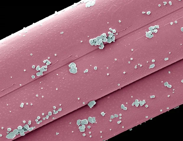 Mayo Clinic משתפת פעולה עם ניו פאזה בע"מ להתקנת מכונת היפרתרמיה ננו-חלקיקים מגנטית לחקר הסרטן