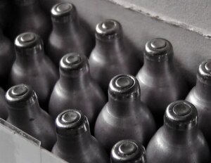 חלקיקי בור שריפה מעוררים דלקת ריאות באמצעות הפעלה חיסונית