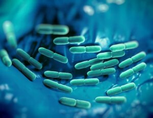 טיפול מוקדם בשחפת מפחית מקרי מוות של אלח דם בחולי HIV