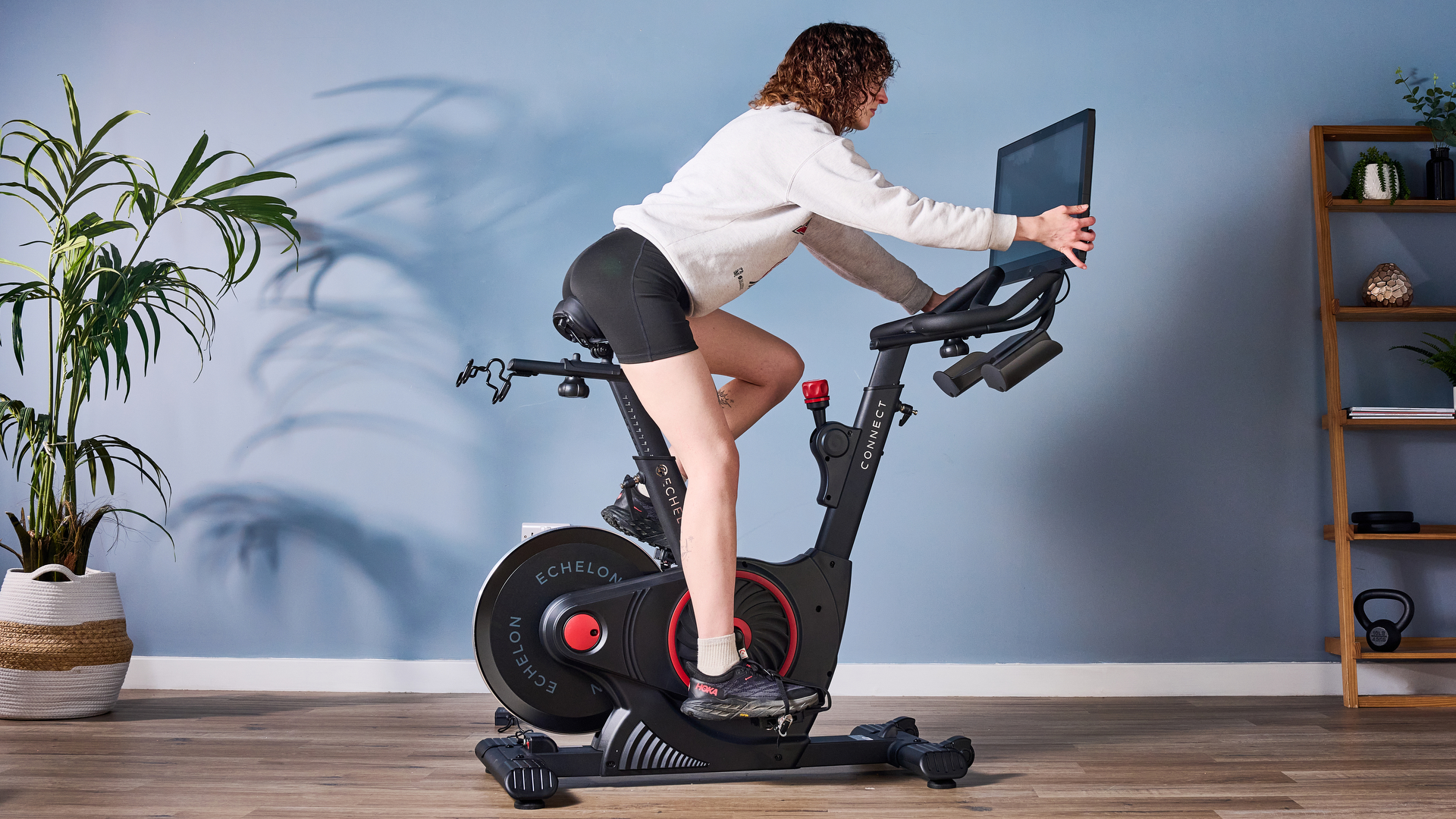 echleon ex-5s צולם מול רקע כחול