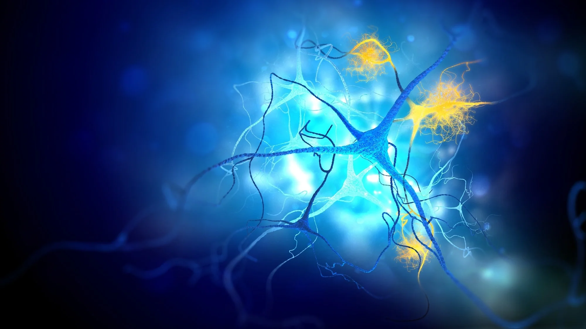 Study: Engineering chimeric antigen receptor CD4 T cells for Alzheimer’s disease. Image Credit: Andrii Vodolazhskyi / Shutterstock