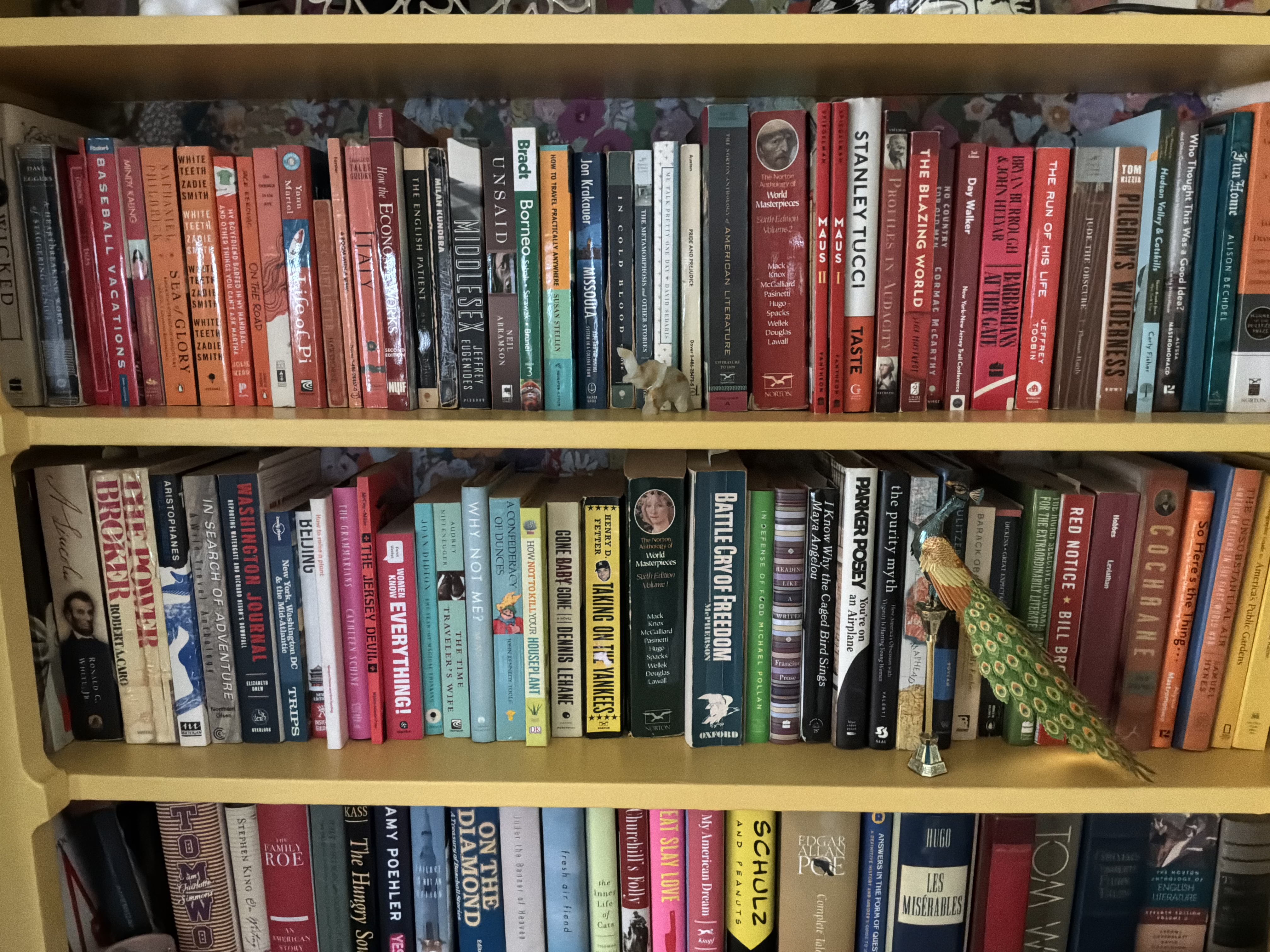 תמונה שצולמה עם המצלמה האחורית של ה-iPad M4