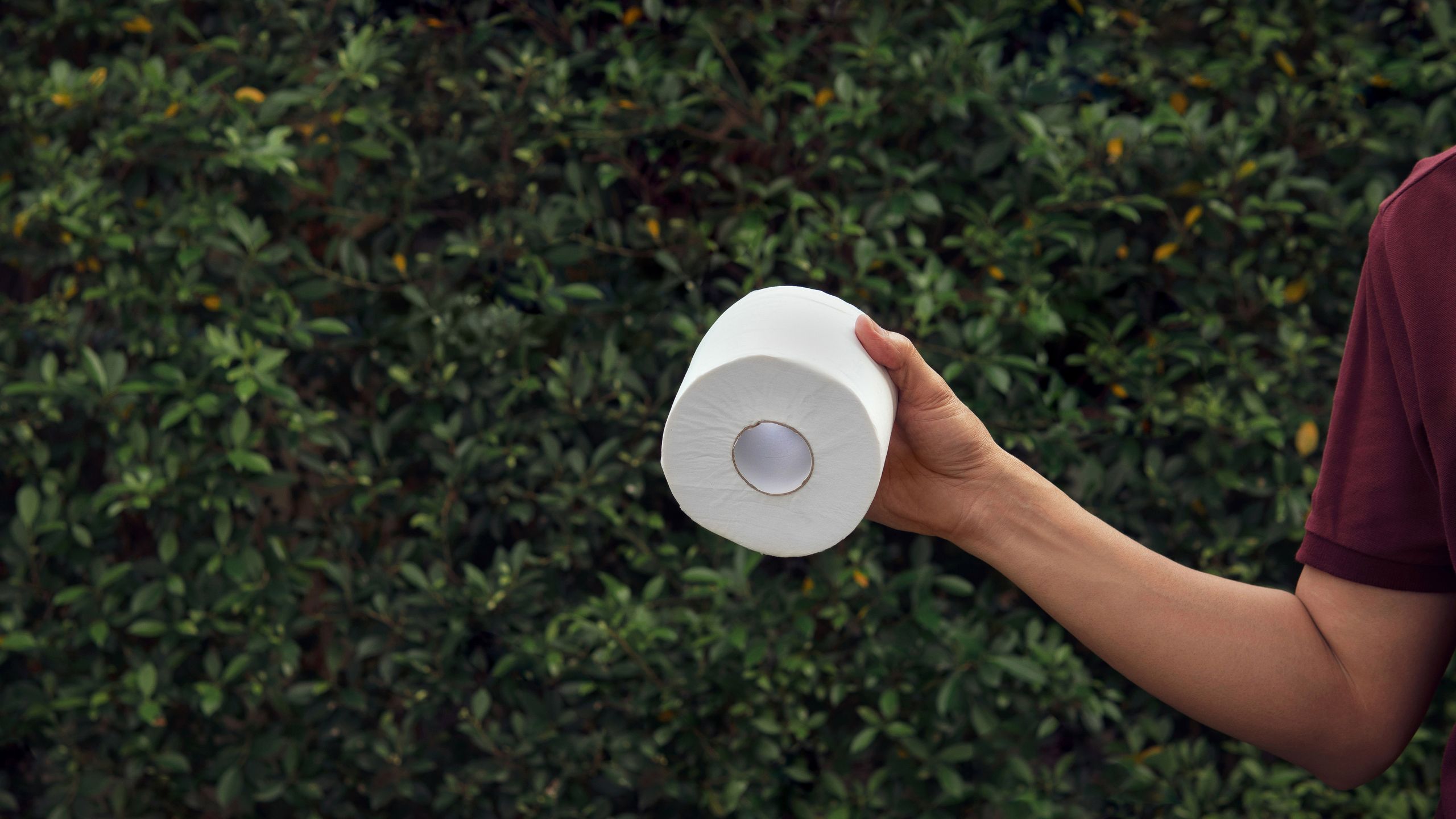 קוראים לגננות לשים צינורות נייר טואלט בחצר שלהם במרץ - זה לא כל כך מוזר כמו שזה נשמע