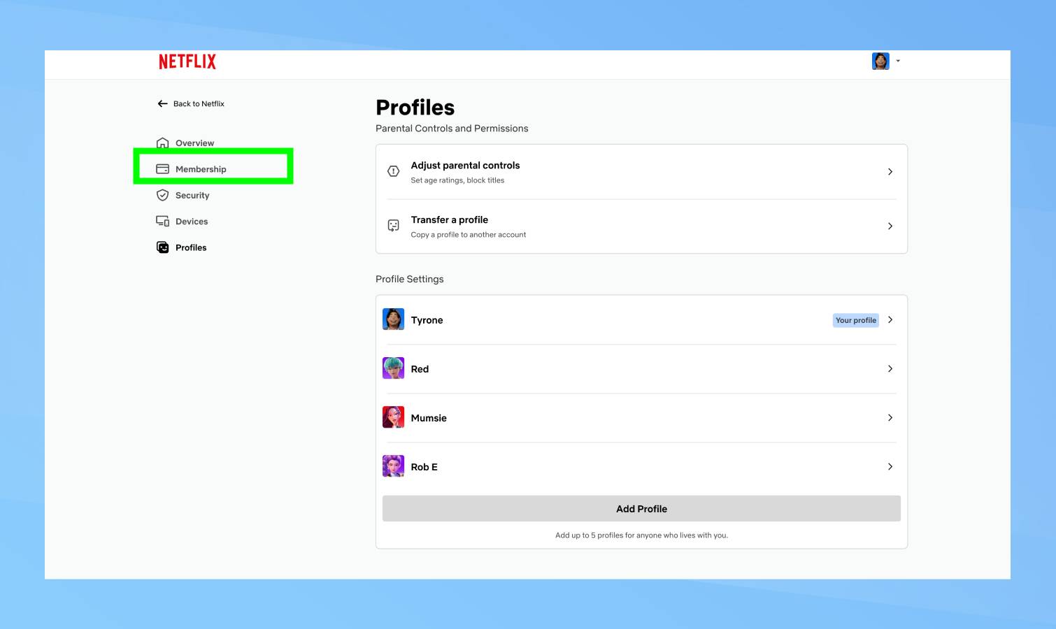 חברות מודגשת בנטפליקס
