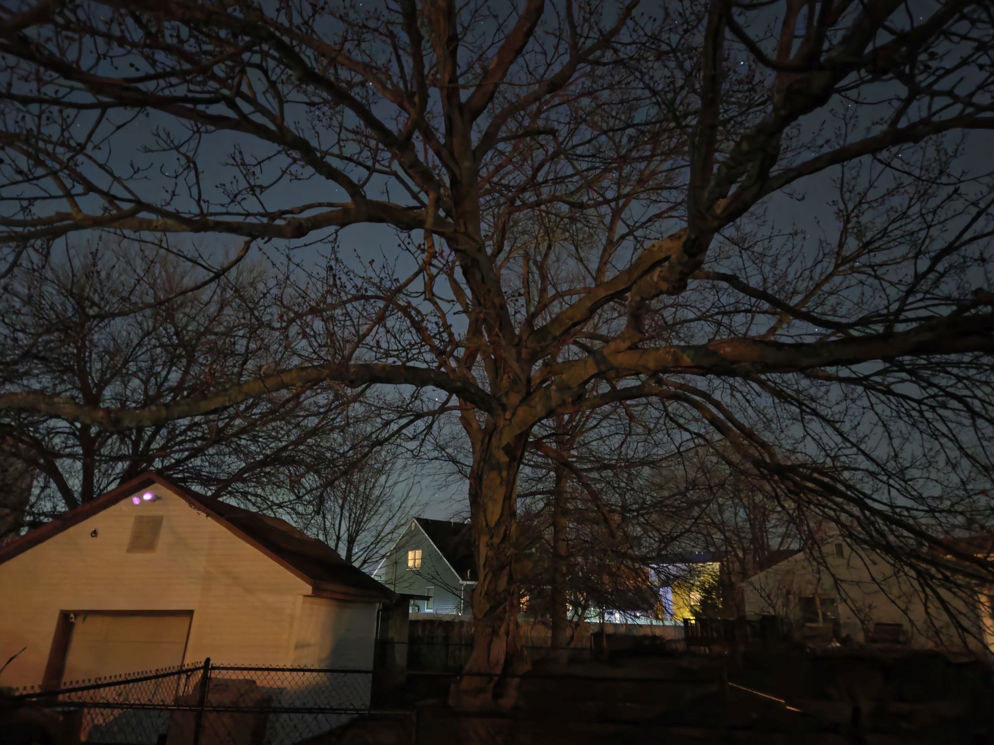 דגימת מצלמת Samsung Galaxy S26.