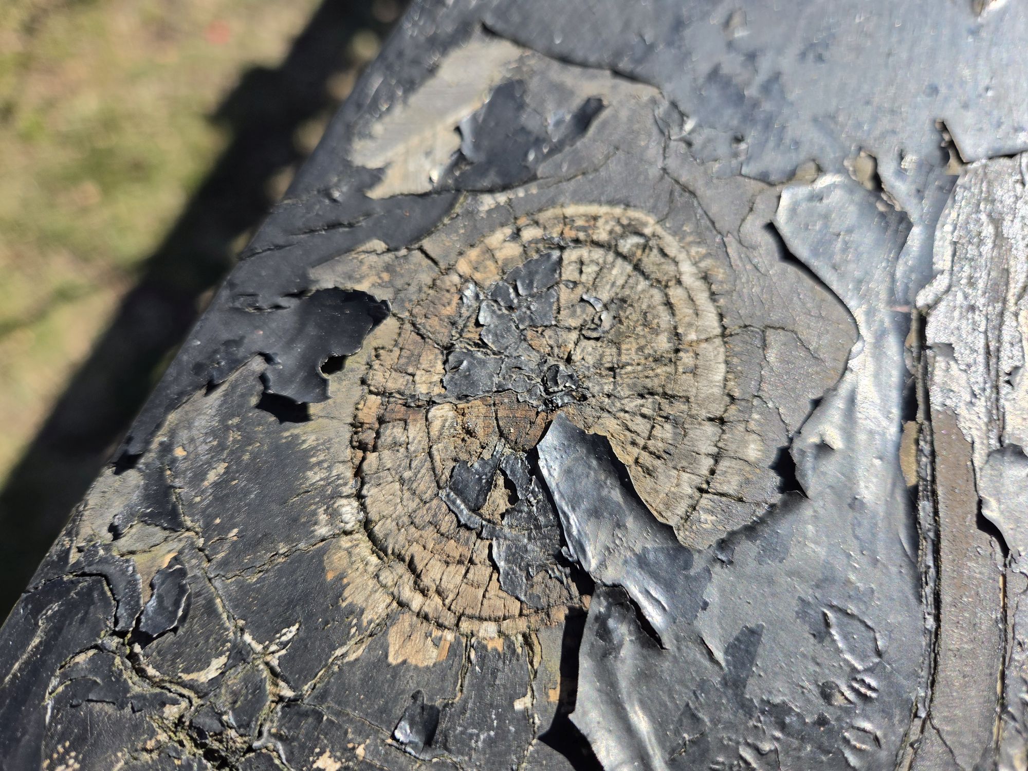 דגימת מצלמת Samsung Galaxy S26.