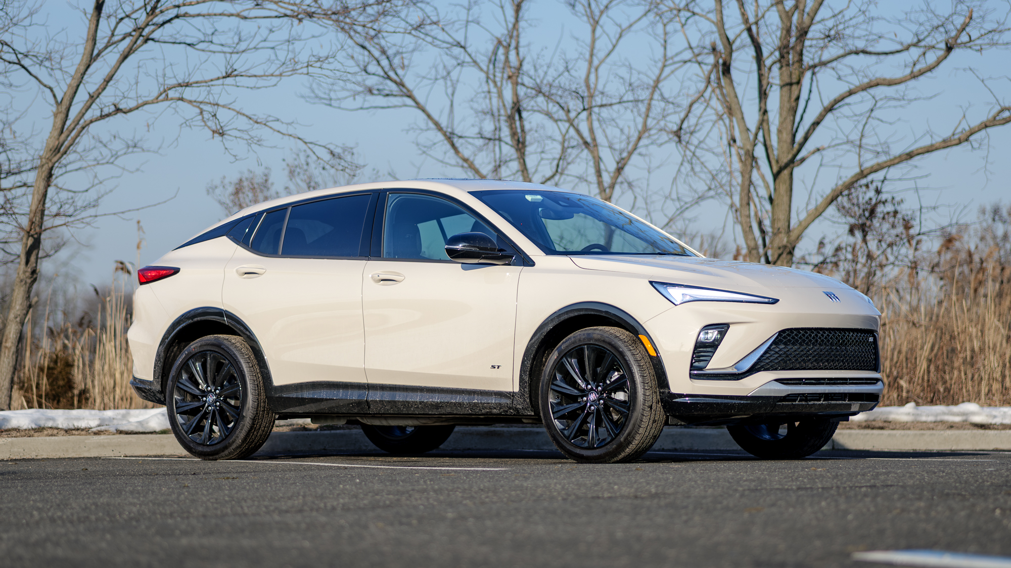 סקירת ביואיק אנוויסטה 2026.