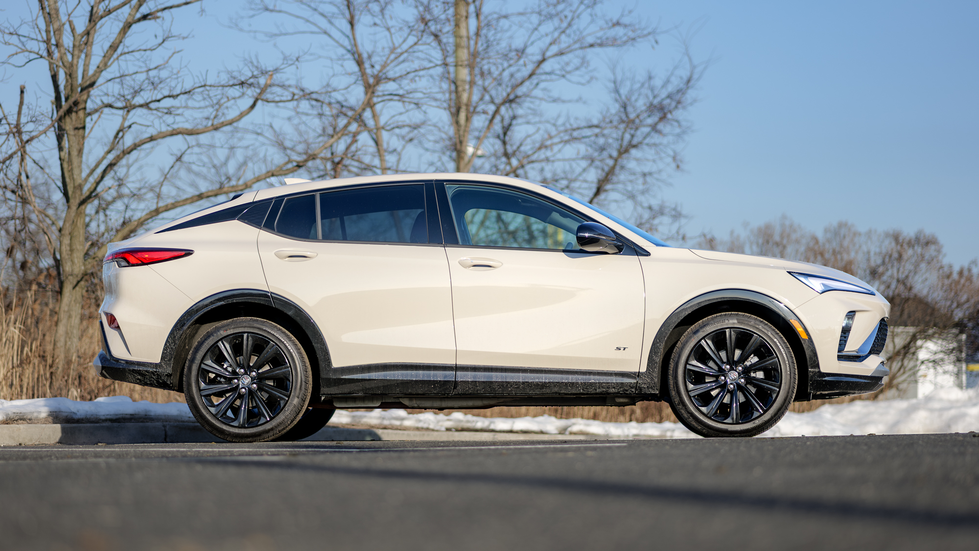 סקירת ביואיק אנוויסטה 2026.