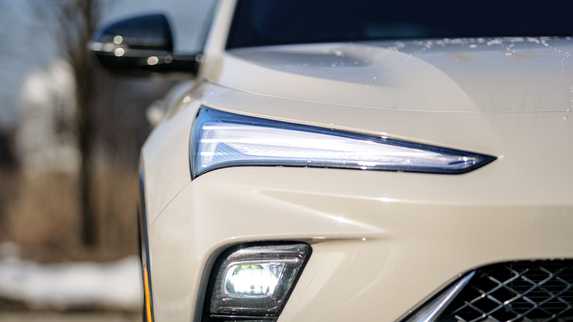 סקירת ביואיק אנוויסטה 2026.