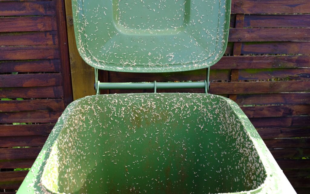 עצור 'מיץ אשפה' מלהפוך את פח האשפה שלך לחוות רימות עם התיקון הזה של $1