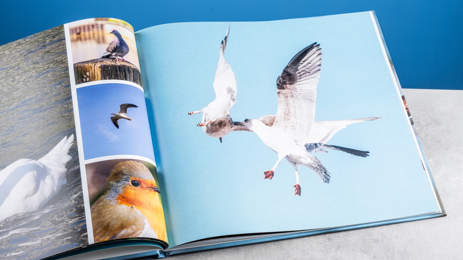 דפי ספר התמונות של Vistaprint שצולמו על שולחן מול רקע כחול