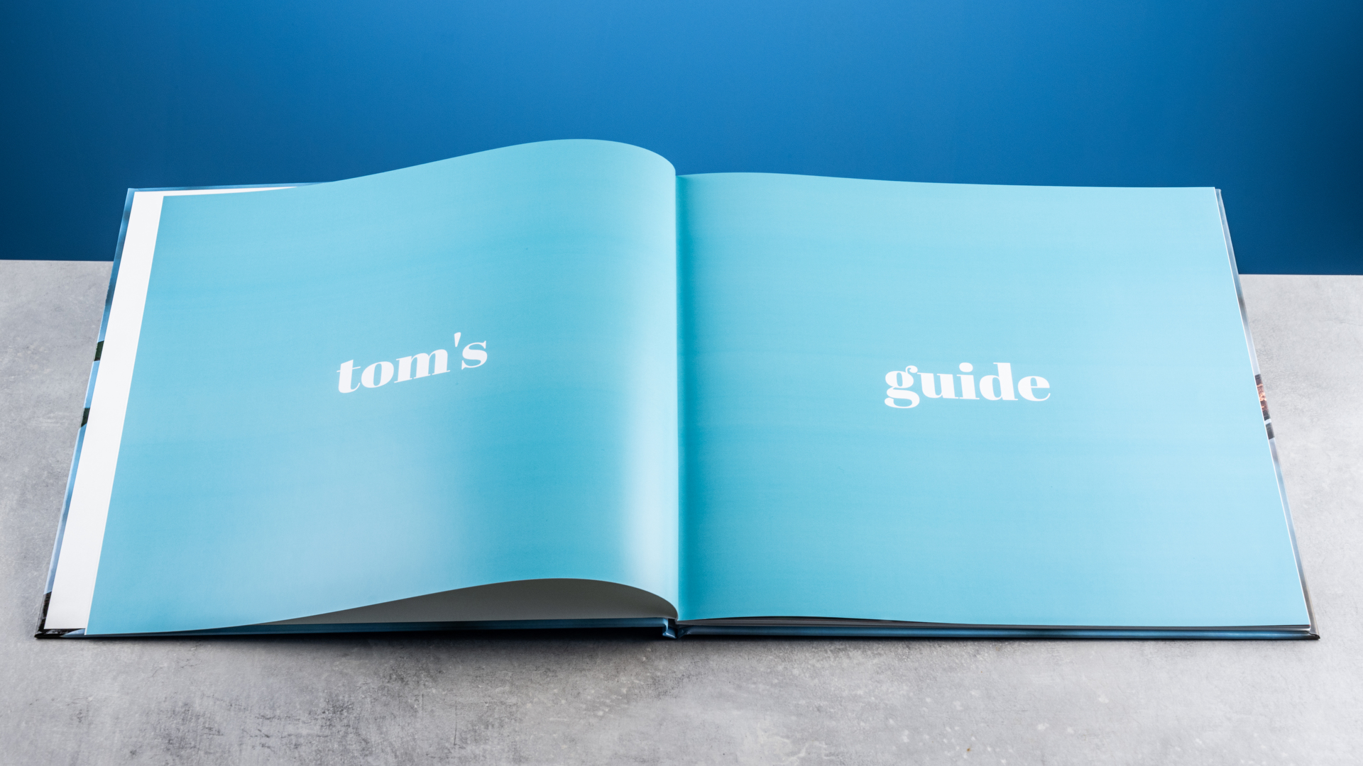 דפי ספר התמונות של Vistaprint שצולמו על שולחן מול רקע כחול