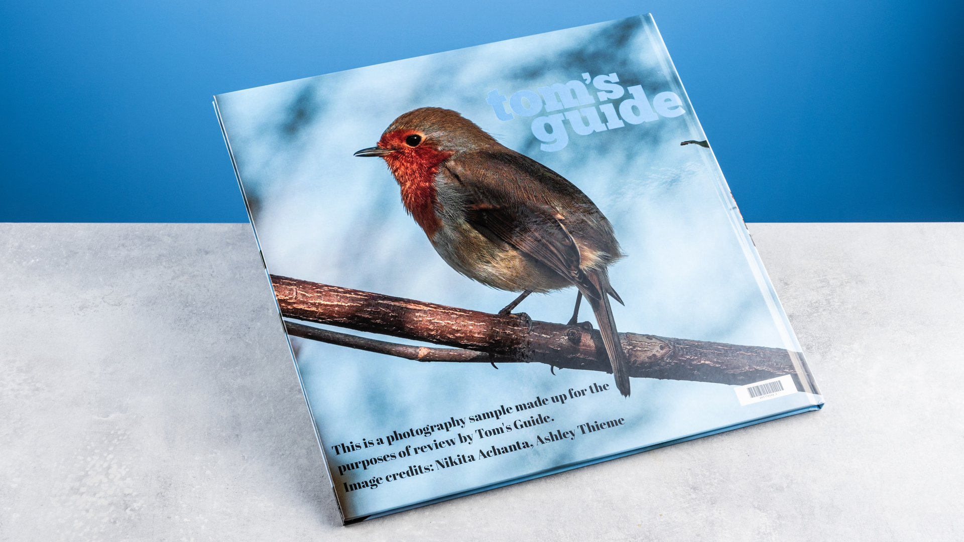 דפי ספר התמונות של Vistaprint שצולמו על שולחן מול רקע כחול