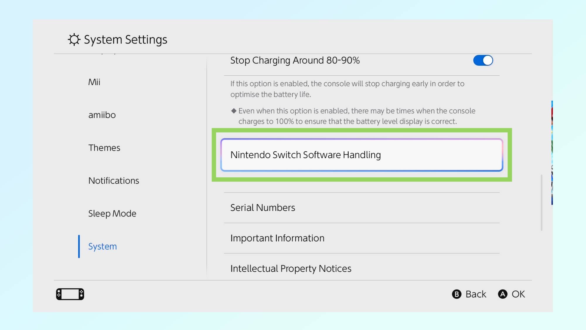 תמונה המציגה כיצד להפעיל מצב חיזוק כף יד ב-Nintendo Switch 2