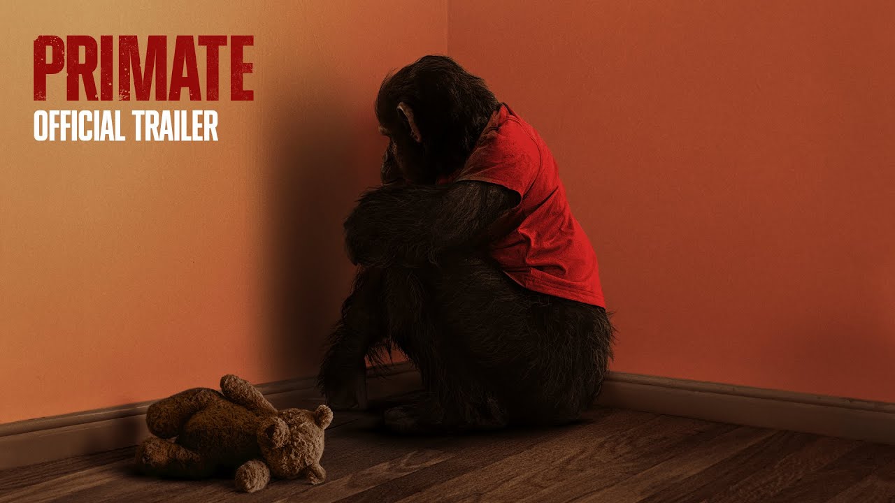 פרימט | טריילר רשמי (סרט 2026) - YouTube