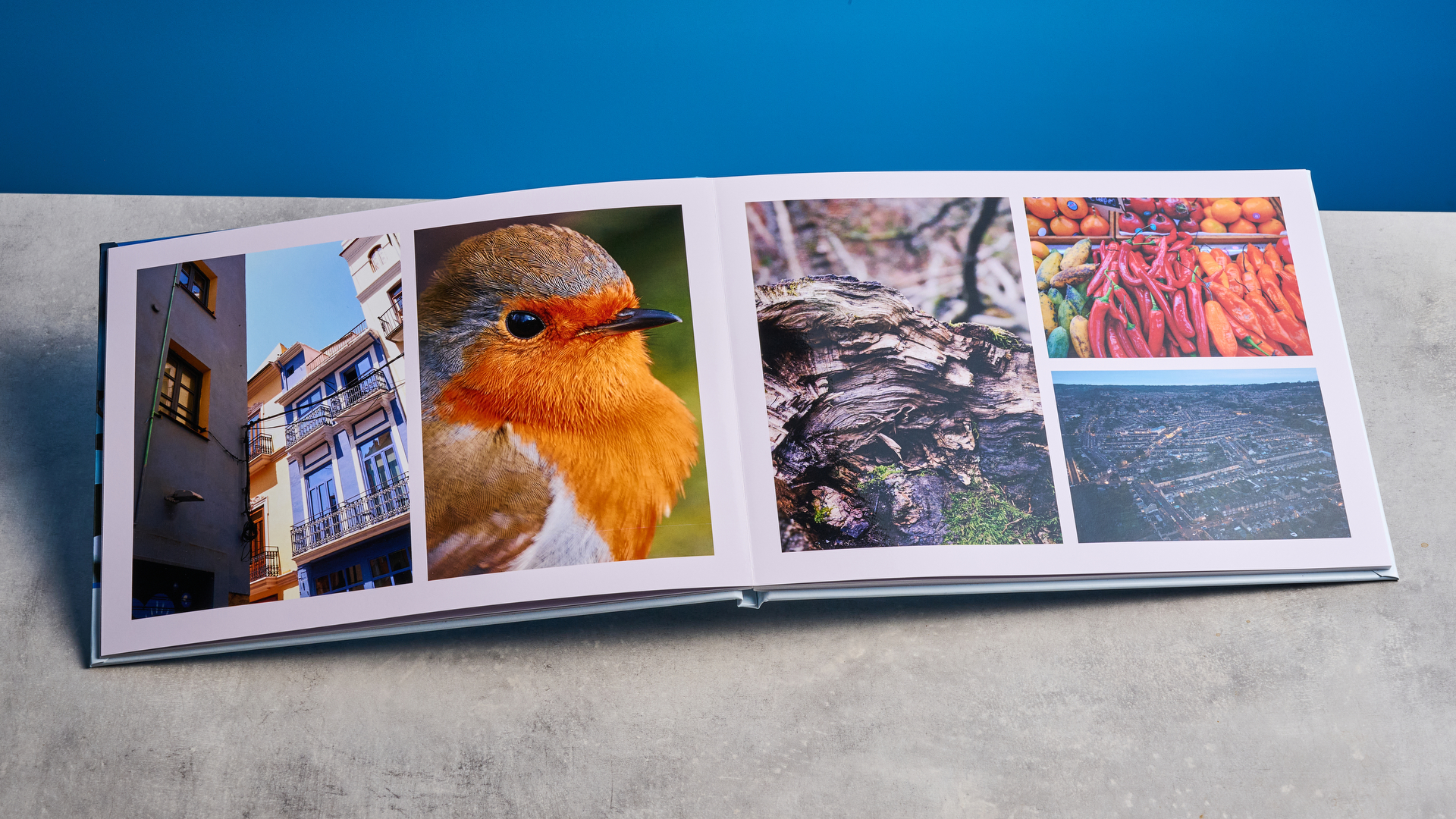 ספר צילומים של Popsa שצולם מול רקע כחול