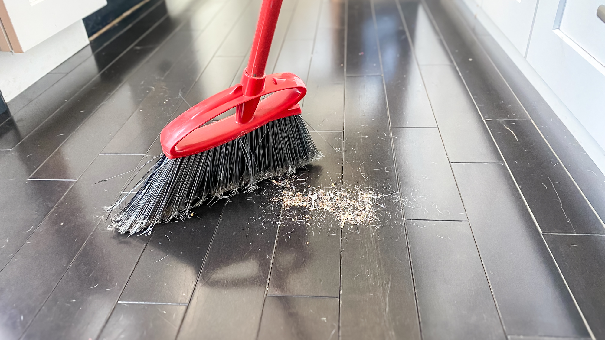 שואב רובוט רובורוק סארוס 20 בדירה