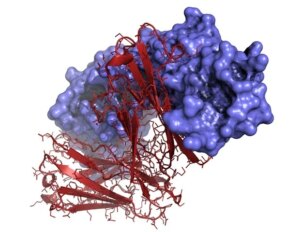 Refeyn משיקה מכשיר MyMass כדי לפשט הערכת איכות מדגם עבור ביולוגיה מבנית