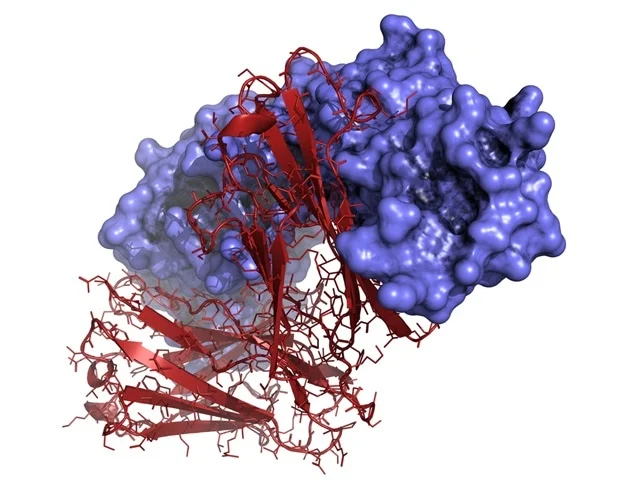 Refeyn משיקה מכשיר MyMass כדי לפשט הערכת איכות מדגם עבור ביולוגיה מבנית