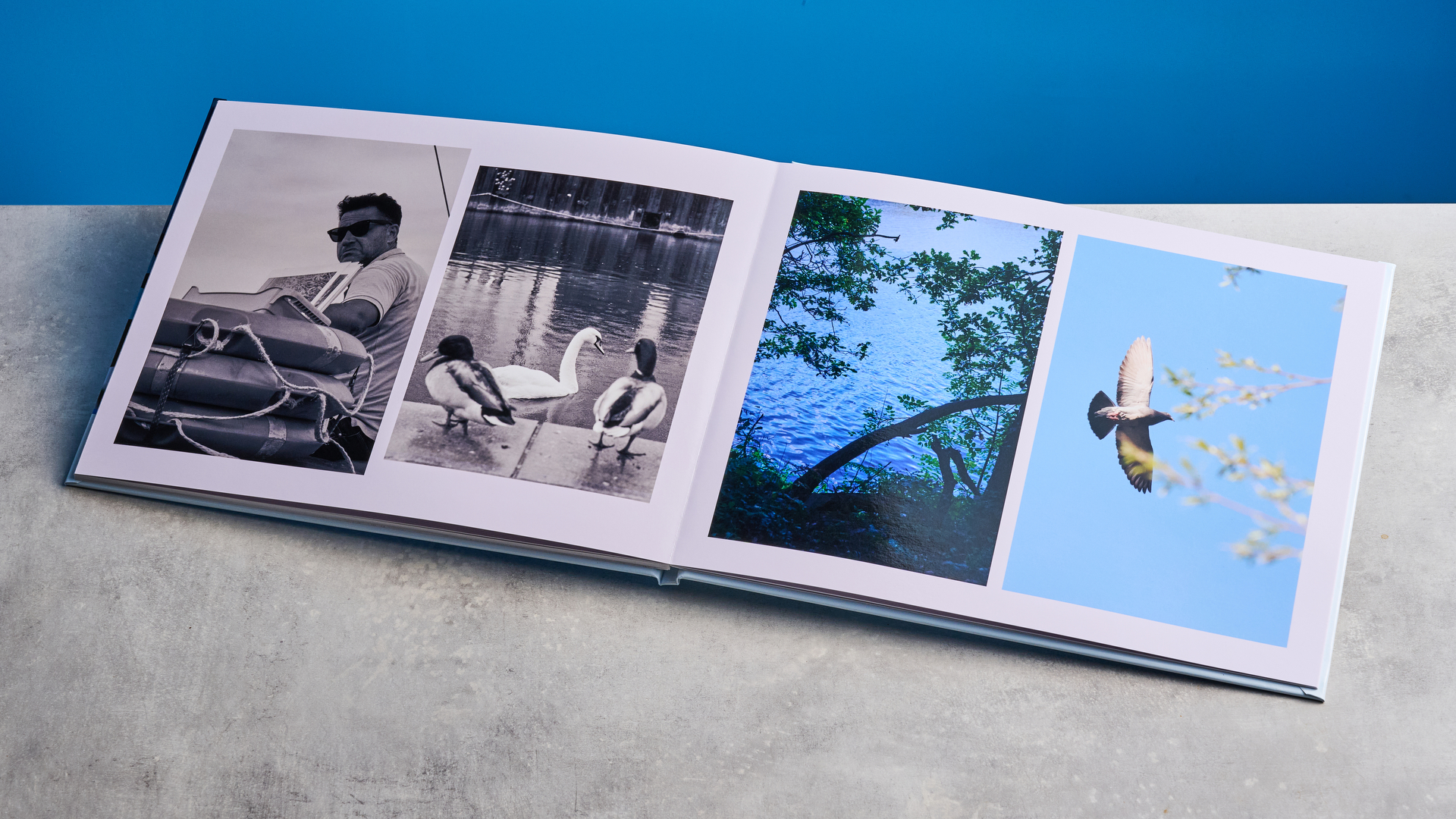 ספר צילומים של Popsa שצולם מול רקע כחול