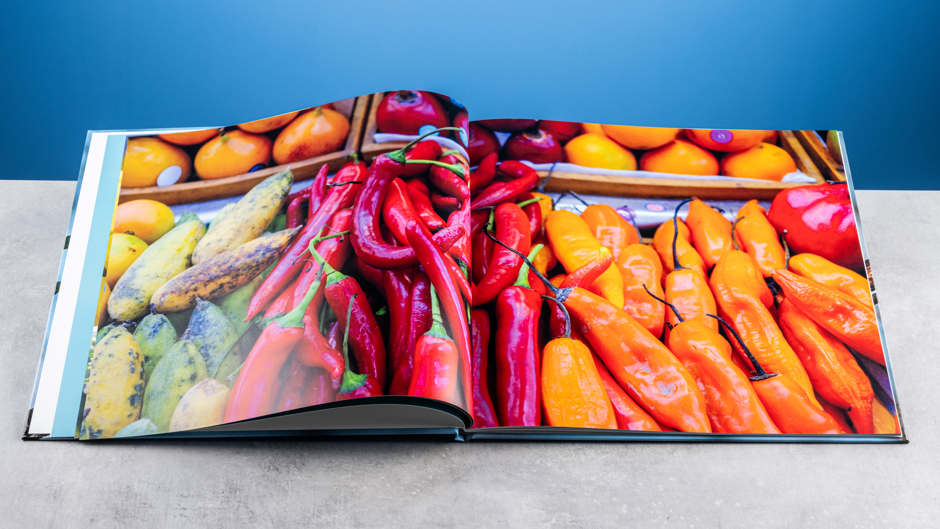 דפי ספר התמונות של Vistaprint שצולמו על שולחן מול רקע כחול