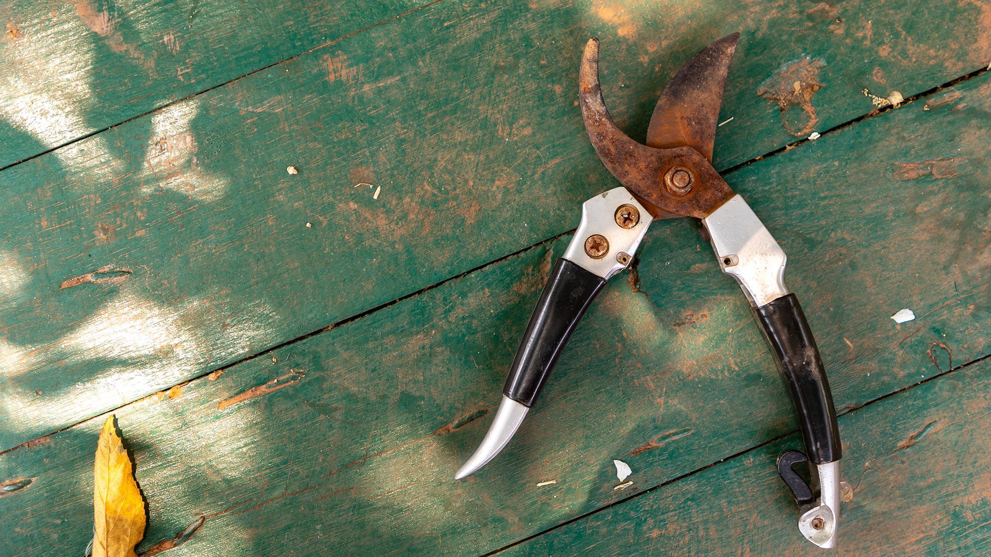 מזמר גיזום חלוד