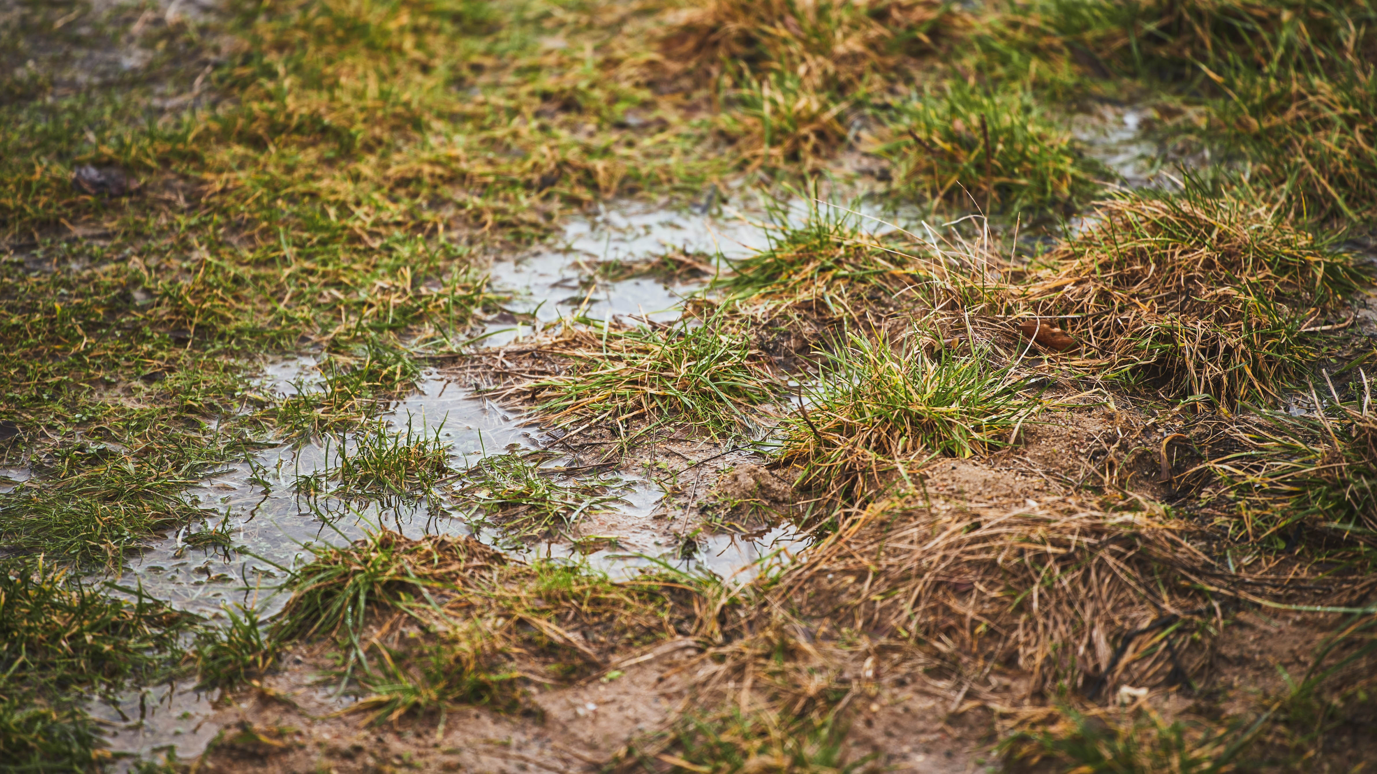 מים יושבים על גבי אדמה, לא מסוגלים להתנקז