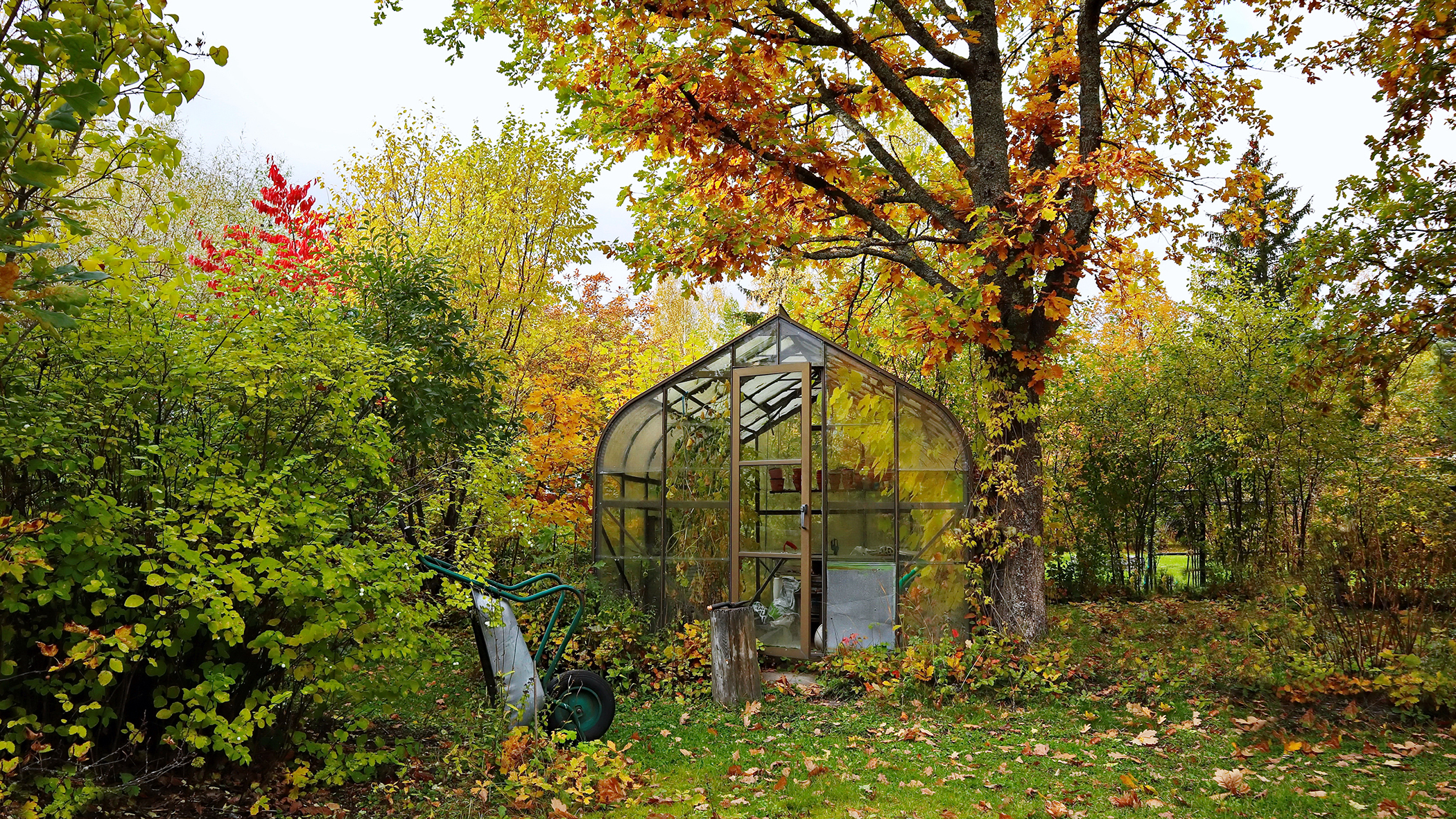 משימות גן שכדאי לבצע באוקטובר