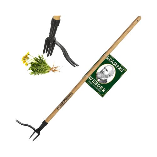 העשב של גרמפה