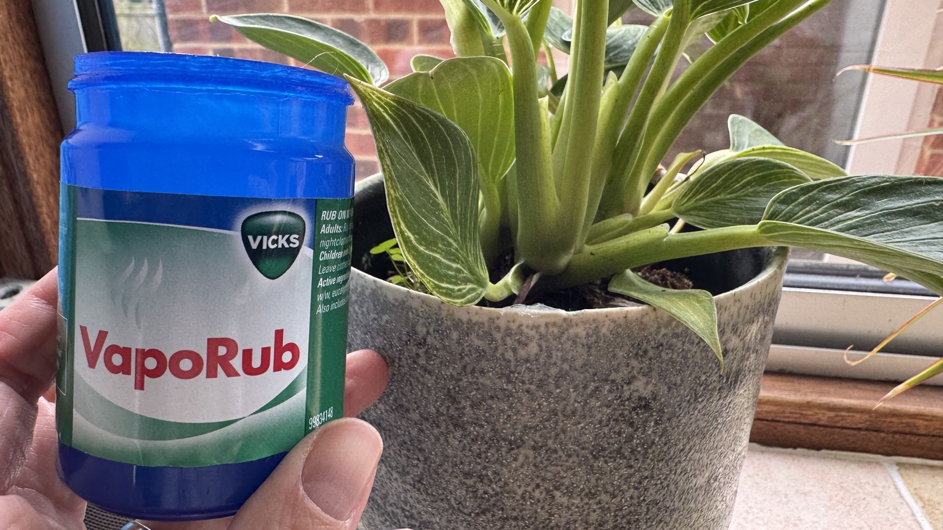 VapoRub pest plant hack