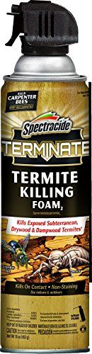 Spectracide Terminate Termite Killing Foam 16 אונקיות, לשימוש פנימי וחיצוני