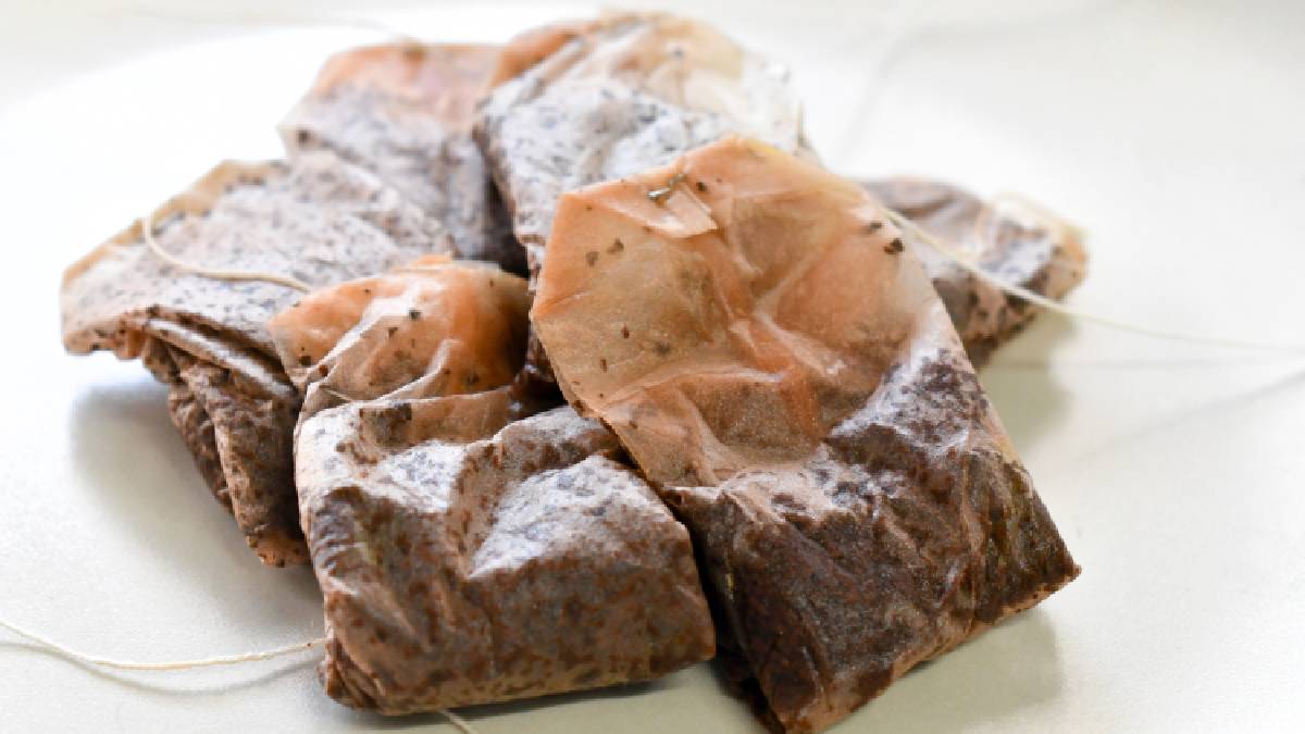 שקיות תה משומשות על צלחת לבנה קטנה