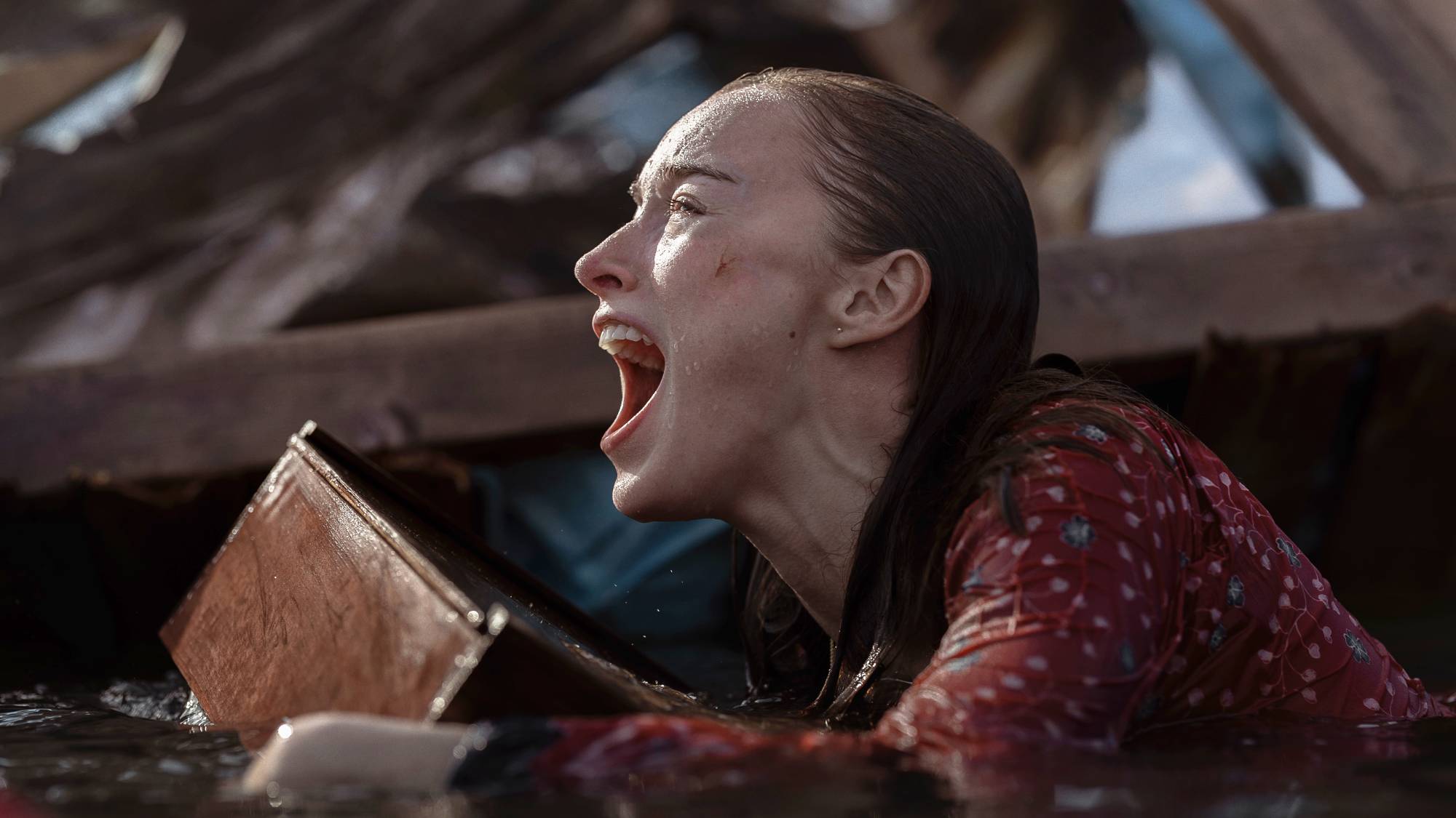 פיבי דינבור בתור ליסה פילדס ב- "Thrash"