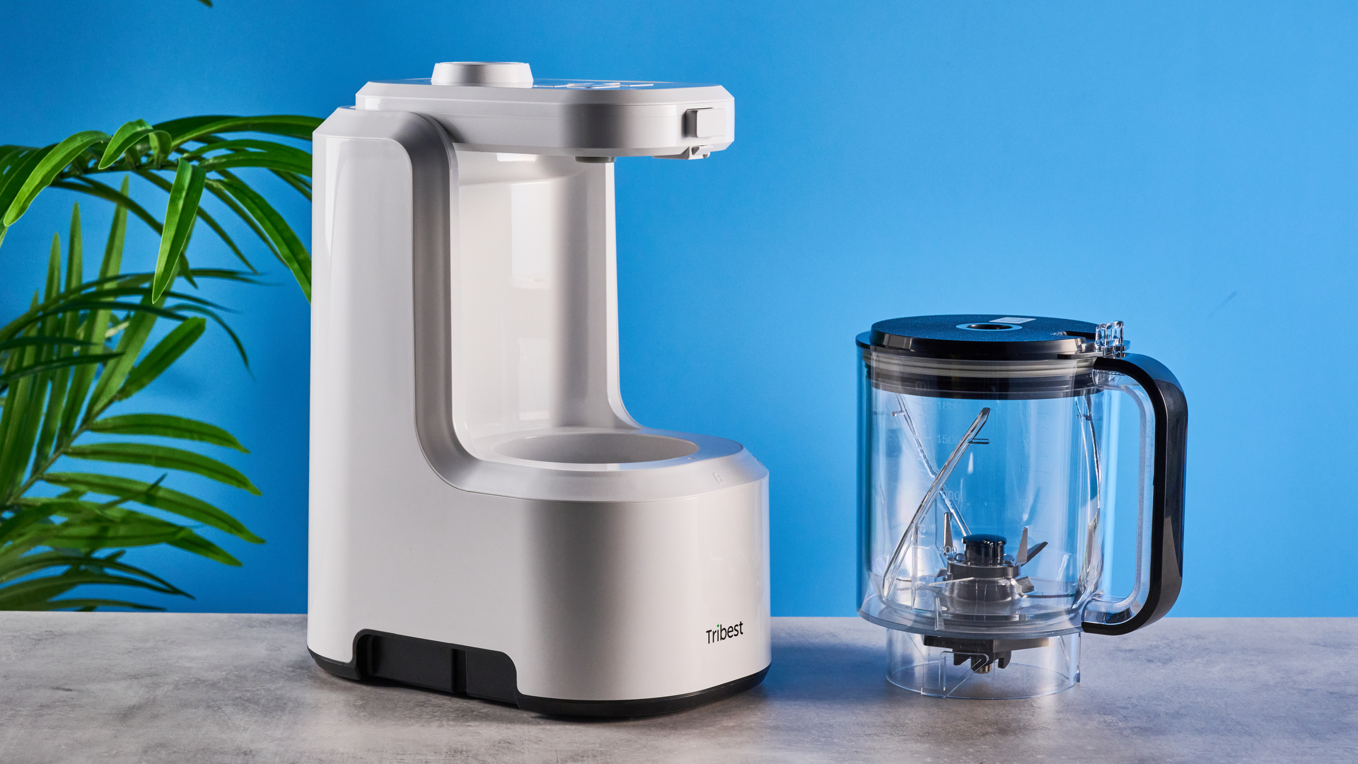 Tribest Backspin בלנדר שצולם מול רקע כחול