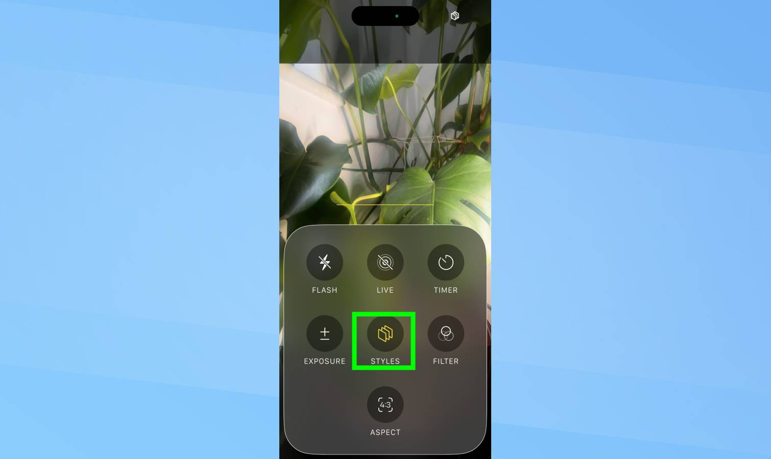 סגנונות מודגשים במצלמת אייפון