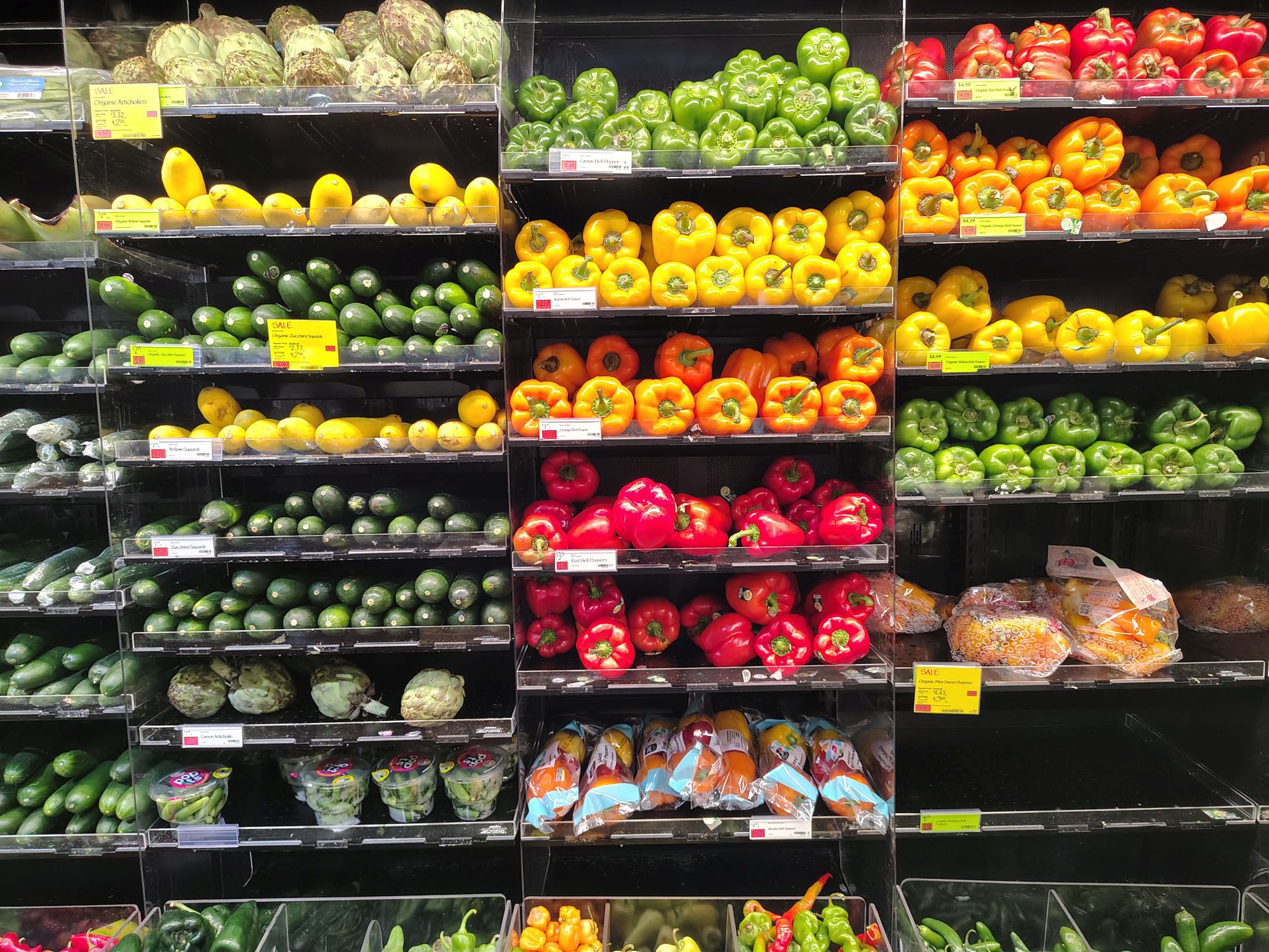 דוגמה למצלמה של Moto G Stylus (2026).