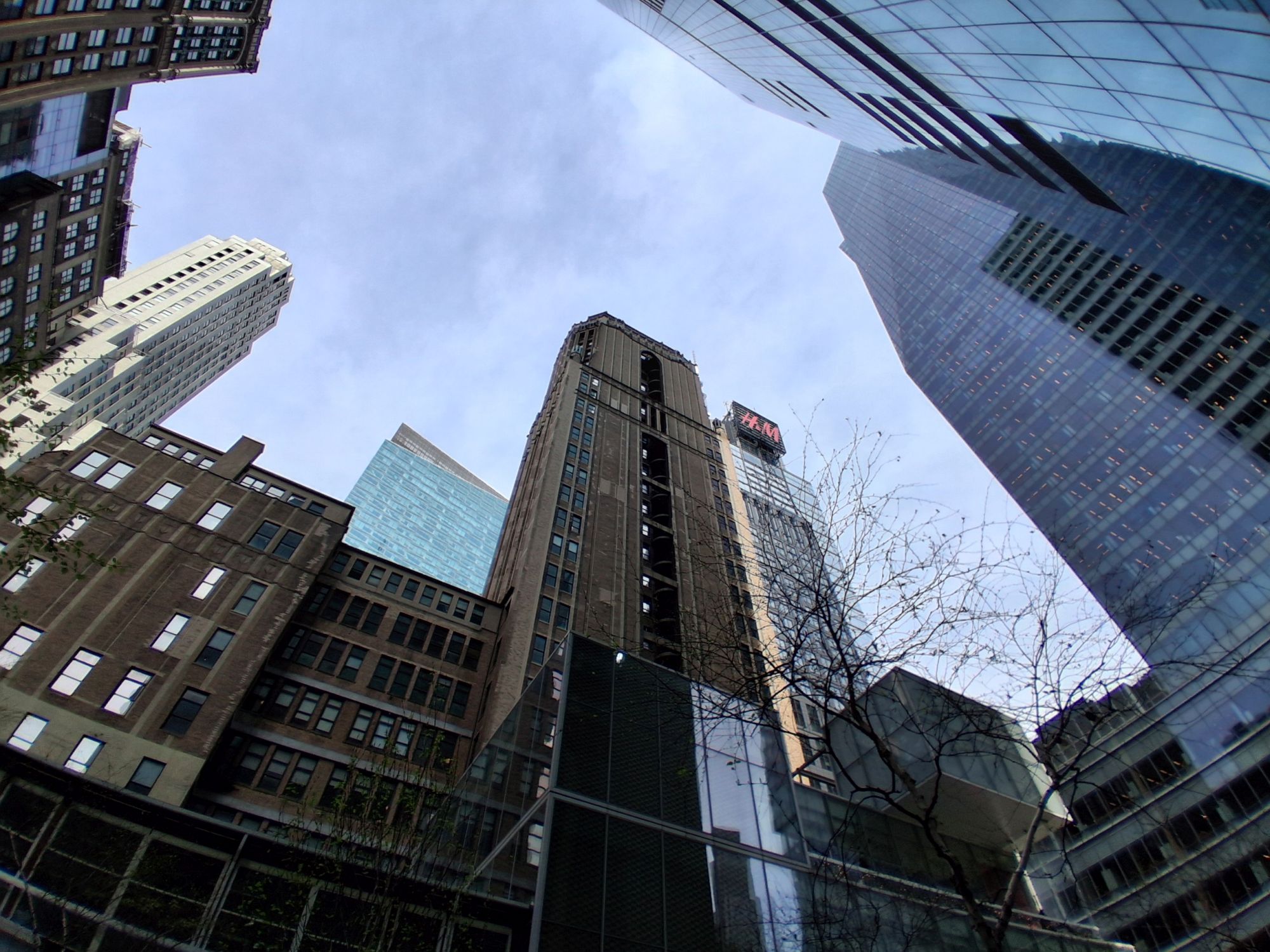 דוגמה למצלמת Samsung Galaxy A17.