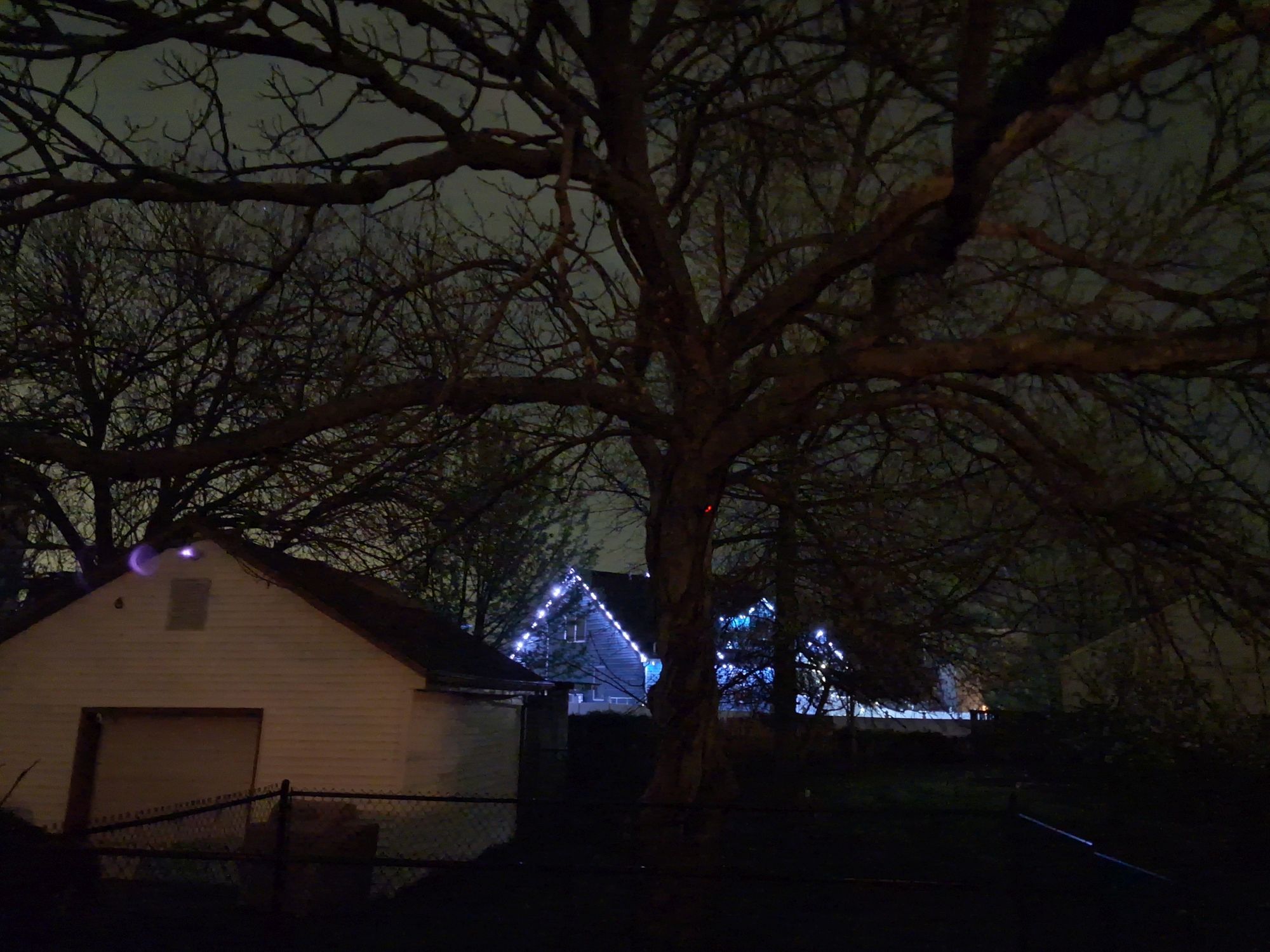 דוגמה למצלמת Samsung Galaxy A17.