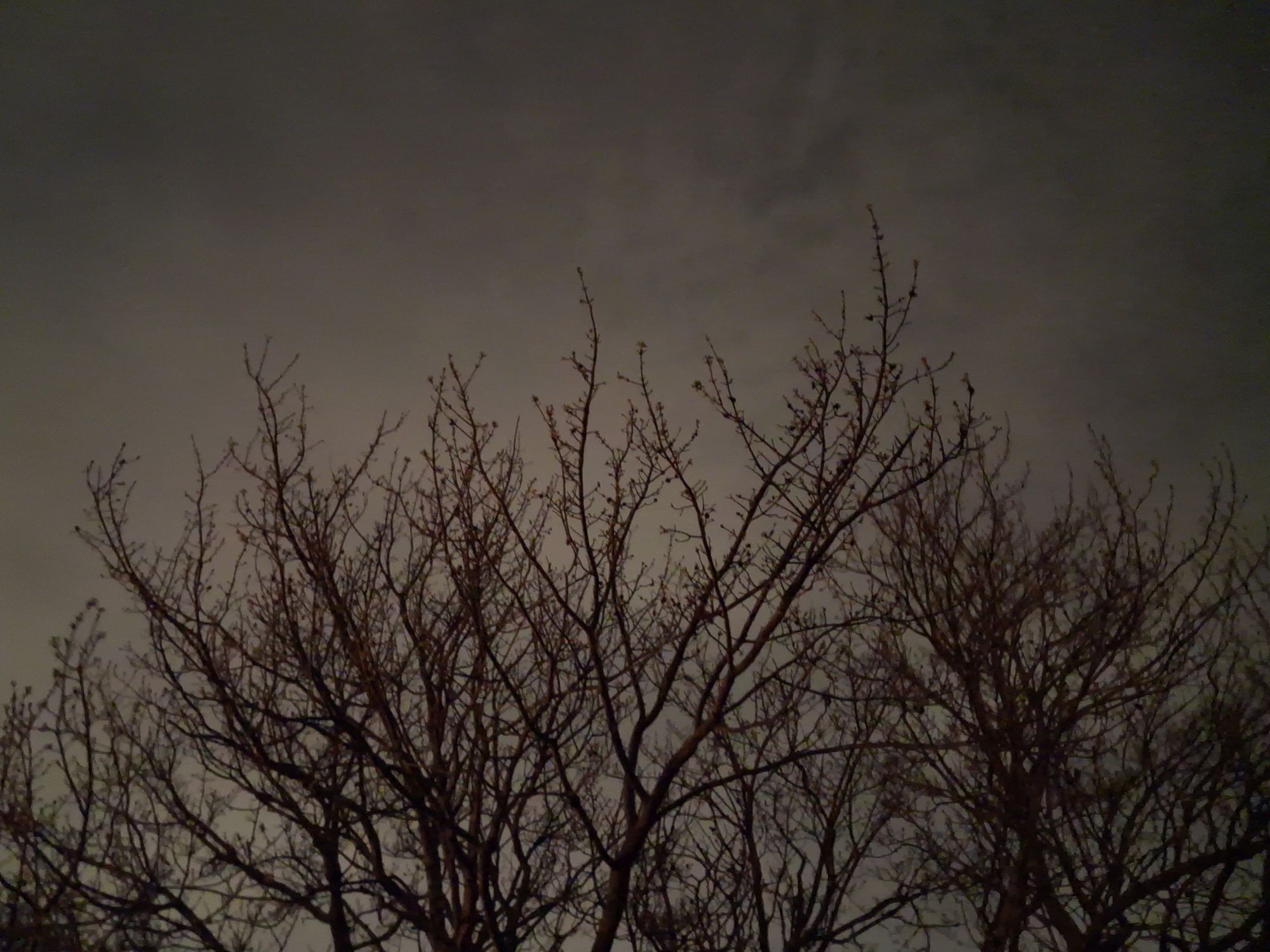 דוגמה למצלמת Samsung Galaxy A17.